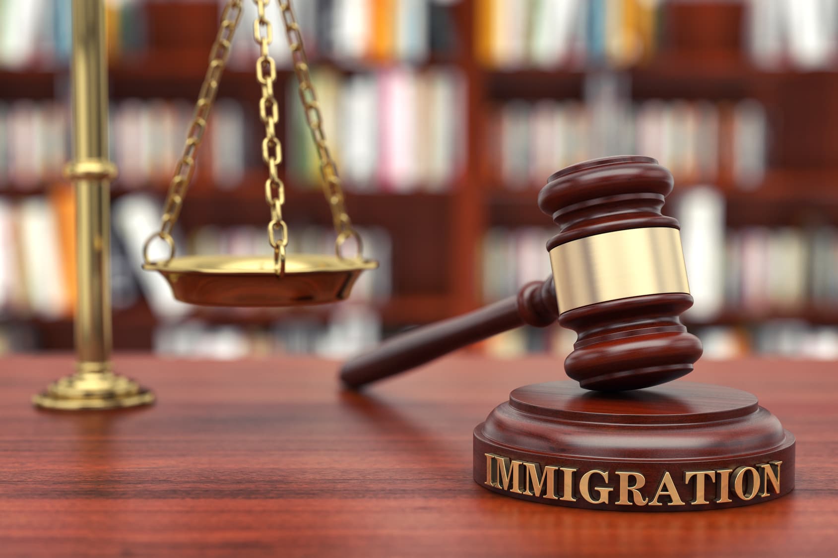 Things to Consider When Choosing an Immigration Lawyer - Legal Squire For  Hire
